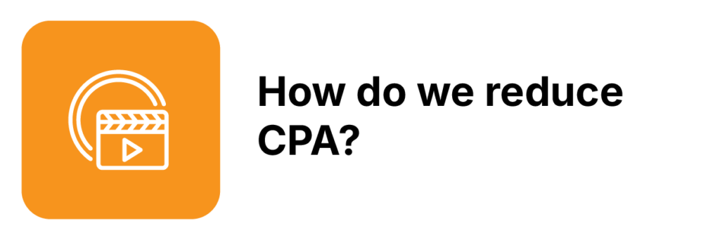 Green Cat Desktop-14