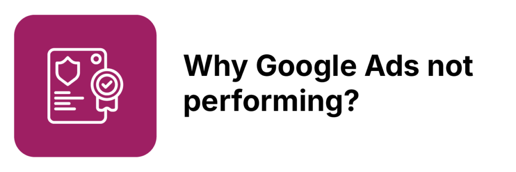 Green Cat Desktop-18